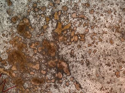 Professional basement flood restoration services services in Bradenton